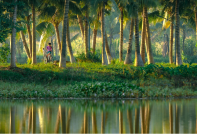 Tìm lại tuổi thơ cho trẻ em phố thị