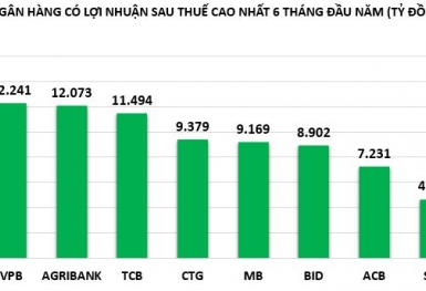 Sau nửa chặng đường, tiến độ thực hiện kế hoạch lợi nhuận ngân hàng phân hóa