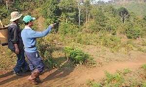 Sửa đổi Luật Đất đai: Giải quyết vấn đề đất của doanh nghiệp lâm nghiệp phá sản