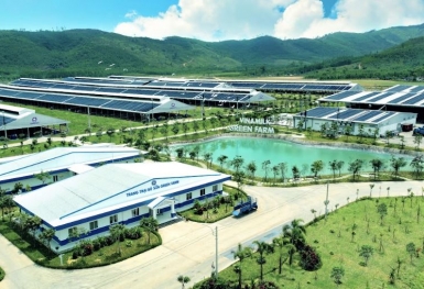 Tiêu dùng bền vững - xu hướng cần được doanh nghiệp nắm bắt và thúc đẩy