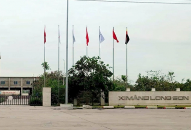 Thanh Hóa xử phạt Công ty TNHH Long Sơn hơn 520 triệu đồng