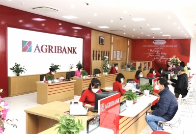 Tin ngân hàng ngày 14/9: Agribank bán 4 lô đất tại TP HCM với giá khởi điểm gần 100 tỉ đồng