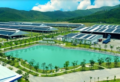 GĐĐH Tài chính Vinamilk chia sẻ về quan điểm và thực hành E-S-G tại doanh nghiệp sữa lớn nhất Việt Nam