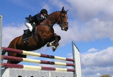 Dragon Capital: Rủi ro đã phản ánh vào giá cổ phiếu, Ngân hàng Nhà nước có khả năng tăng lãi suất vào quý 4 và đầu năm sau