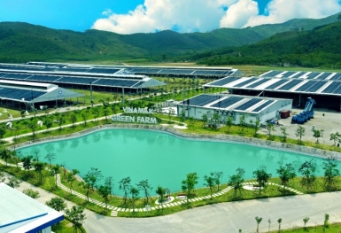 Vinamilk được vinh danh với các giải thưởng lớn trong hội nghị CSR & ESG toàn cầu 2022