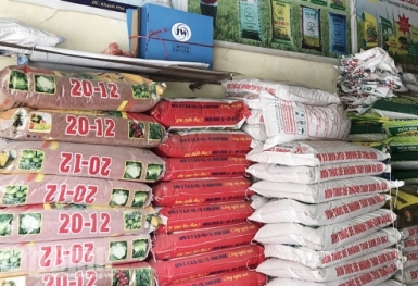 Giá phân bón hôm nay 24/11: Duy trì ổn định