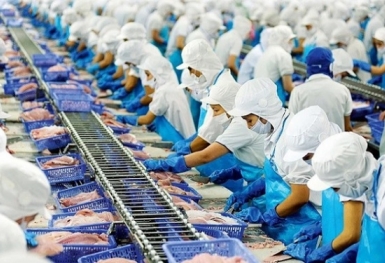 Doanh nghiệp thủy sản lo thiếu vốn để quay vòng sản xuất