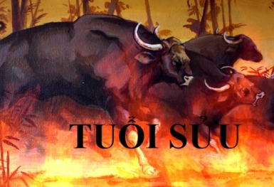 Xem tuổi xông nhà đầu xuân Quý Mão 2023 cho gia chủ tuổi Sửu tiền vàng ngập két