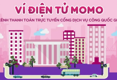 Đóng thuế qua Ví điện tử Momo nhưng kho bạc không nhận được tiền