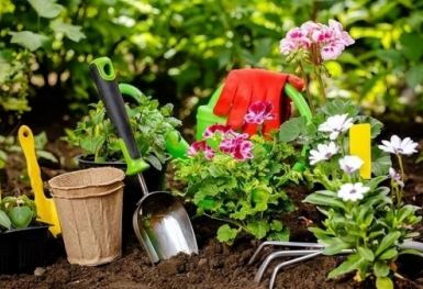 Giá phân bón hôm nay 11/1: Một số mặt hàng giảm mạnh