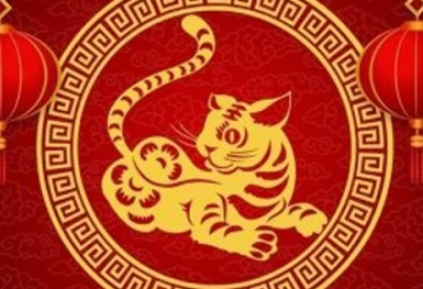 Điểm tên những doanh nhân Tuổi Mão của ngành bất động sản