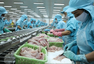 8 vướng mắc cần được tháo gỡ của doanh nghiệp thủy sản