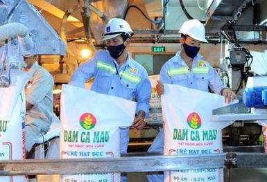 Sau một năm lãi kỷ lục, Đạm Cà Mau (DCM) lên kế hoạch lợi nhuận giảm 67% trong năm 2023