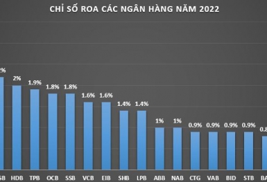 Khả năng sinh lợi của ngân hàng năm 2022 thay đổi ra sao?