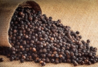 Giá tiêu hôm nay 13/2: Tiếp tục duy trì mức cao