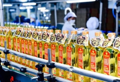 KIDO (KDC) chốt quyền chia cổ tức bằng tiền mặt tỷ lệ 50%