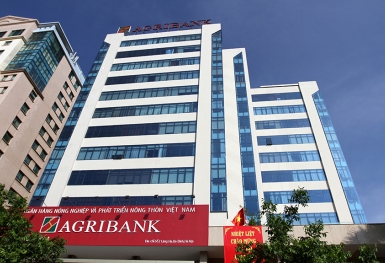Ngân hàng Agribank đang rao bán hàng chục nghìn mét vuông đất nông nghiệp