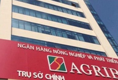 Agribank phát mại loạt tài sản của công ty con Tân Hoàng Minh