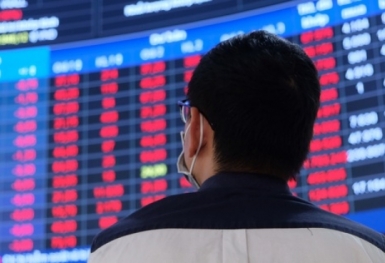 Vi phạm về chứng khoán, Louis Holdings, Gemadept và Vận tải Xăng dầu đường thủy Petrolimex đồng loạt bị xử phạt