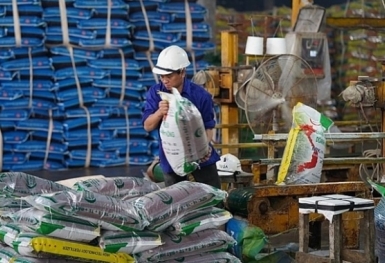 Giá phân bón hôm nay 18/3: Giao dịch trầm lắng