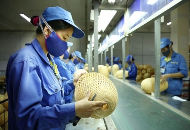 Đề xuất áp dụng thuế suất thấp hơn đối với doanh nghiệp nhỏ và siêu nhỏ