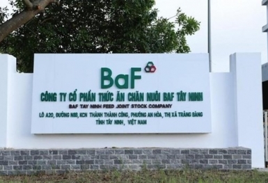 BAF Việt Nam phát hành 600 tỷ đồng trái phiếu, lãi suất 5,25%/năm