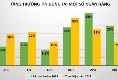 Tăng trưởng tín dụng năm 2023 tại các nhà băng biến động ra sao?