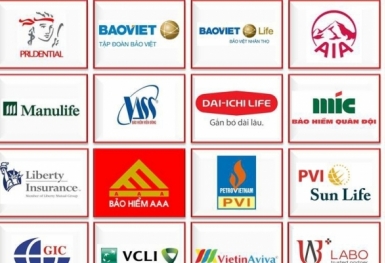 Tổng doanh thu phí bảo hiểm đạt trên 75 nghìn tỷ đồng, tăng 1,12%