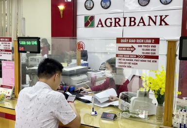 Vì sao cần bổ sung vốn điều lệ cho ngân hàng Agribank?