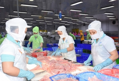 Dồn sức gỡ khó cho tôm, cá miền Tây “vượt biển”