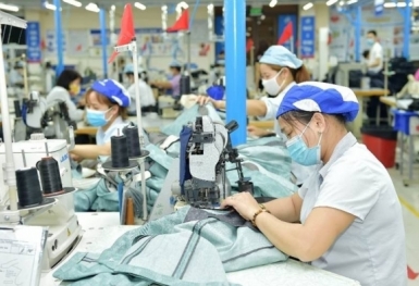 Xuất khẩu dệt may giảm mạnh