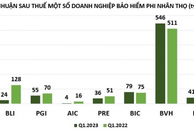 Quý 'hụt chân' của doanh nghiệp bảo hiểm phi nhân thọ