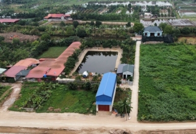 Hà Nội yêu cầu tăng cường kiểm tra, xử lý vi phạm trong quản lý, sử dụng đất nông nghiệp