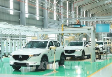 Ô tô lắp ráp trong nước sẽ được giảm 50% lệ phí trước bạ?