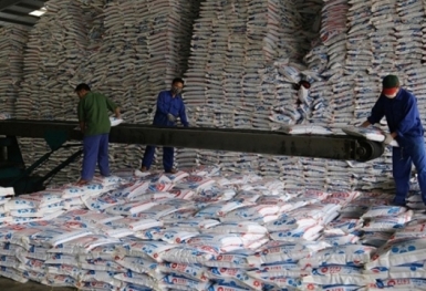 Giá phân bón hôm nay 12/6: NPK giảm nhẹ