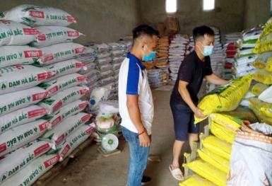 Giá phân bón hôm nay 13/6: Urê chịu sức ép từ thị trường thế giới