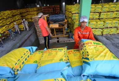 Giá phân bón hôm nay 14/6: Giao dịch Kali trầm lắng