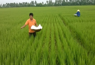 Giá phân bón hôm nay 16/6: Thị trường trầm lắng