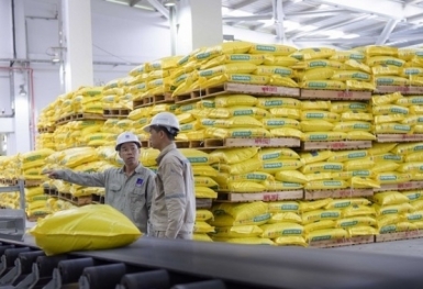 Giá phân bón hôm nay 21/6: DAP hàng đen giảm
