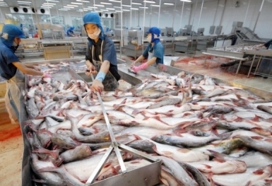 VASEP kiến nghị giãn nợ 4 - 6 tháng cho doanh nghiệp thủy sản