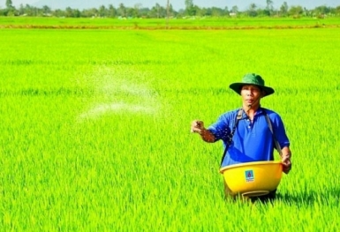 Giá phân bón hôm nay 2/7: Giao dịch trầm lắng