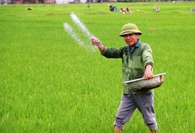 Giá phân bón hôm nay 9/7: Nhập khẩu Kali giảm