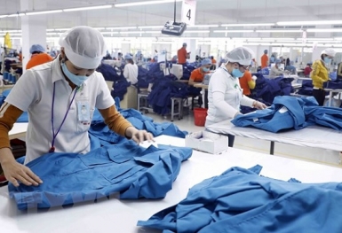 Tổng vốn đăng ký của doanh nghiệp thành lập mới giảm 19,8%