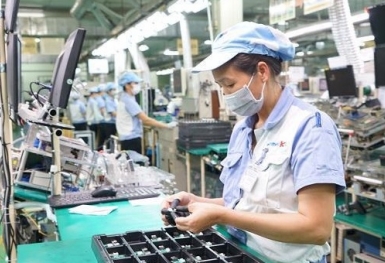 Chính phủ yêu cầu Bộ Tài chính báo cáo việc áp dụng thuế tối thiểu toàn cầu trước 13/7