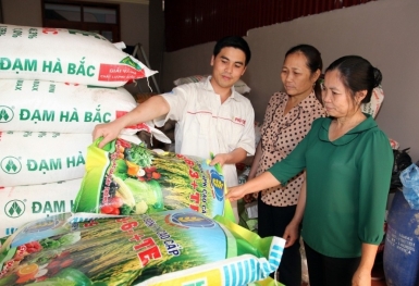 Giá phân bón hôm nay 14/7: Giao dịch kém sôi động