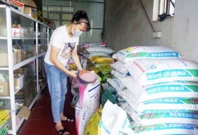 Giá phân bón hôm nay 25/7: Giao dịch bình ổn