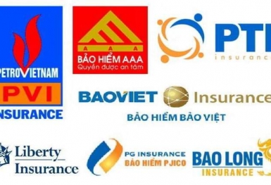 Lợi nhuận doanh nghiệp bảo hiểm: MIC và ABIC lãi đậm, VASS thua lỗ