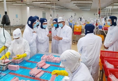 Mỗi tháng có 18,8 nghìn doanh nghiệp thành lập mới và quay trở lại hoạt động