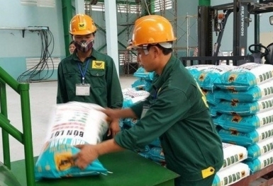 Giá phân bón hôm nay 1/8: Nhập khẩu tăng 30%