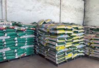 Giá phân bón hôm nay 3/8: Nhập khẩu Kali tăng gần 30%